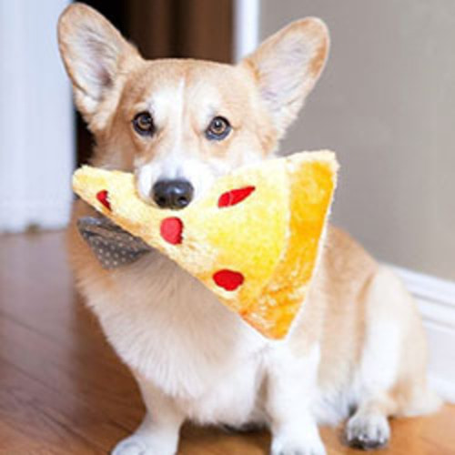 [지피포우즈]뿡뿡이 놀자 시리즈달콤한 피자!