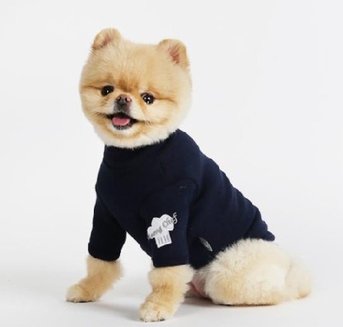 (70% 땡처리세일) 이츠독 멍세프 강아지 애견 티셔츠 네이비 L 사이즈 (가슴 29-31cm 체중 4-5.5kg)