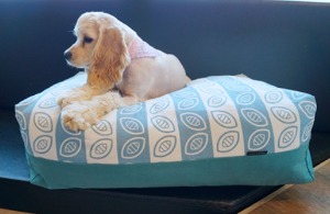 (창고세일 50%) 아델라 아이즈 쿠션 강아지 방석,침대 (대형, 오션블루색상)