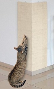 (땡처리세일) 칼리 고양이 벽면 코너 스크래칭 보드 80 x 20cm